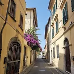Tra Miracoli E Cavalieri